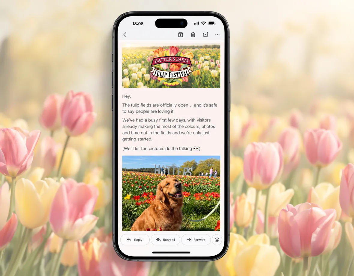 Email Marketing