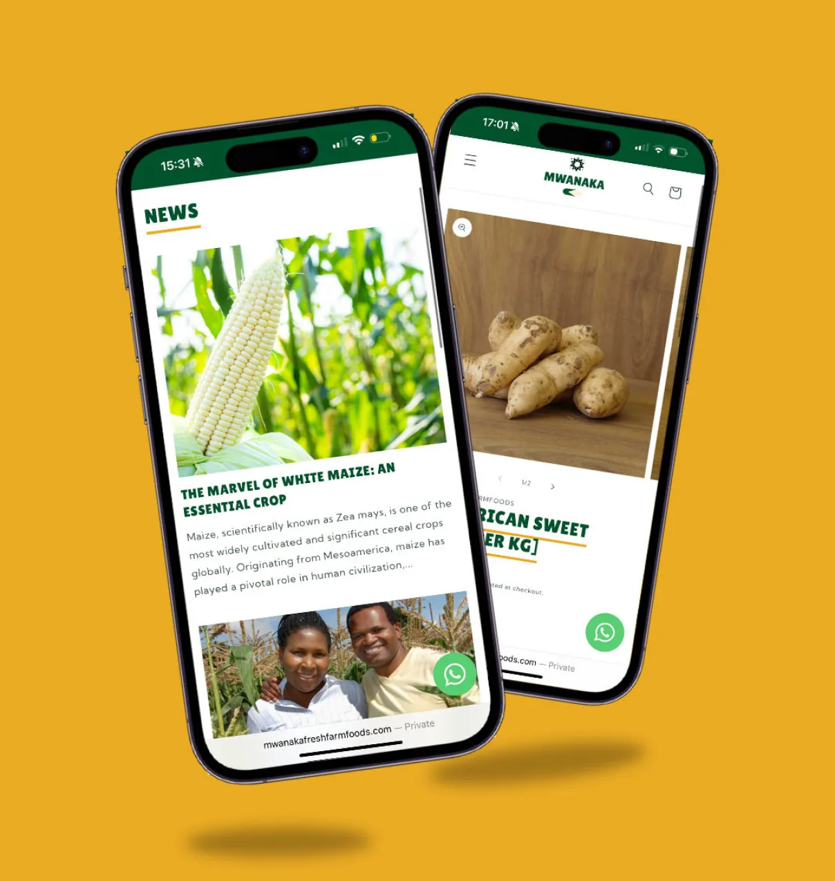Mwanaka Fresh Farm Foods