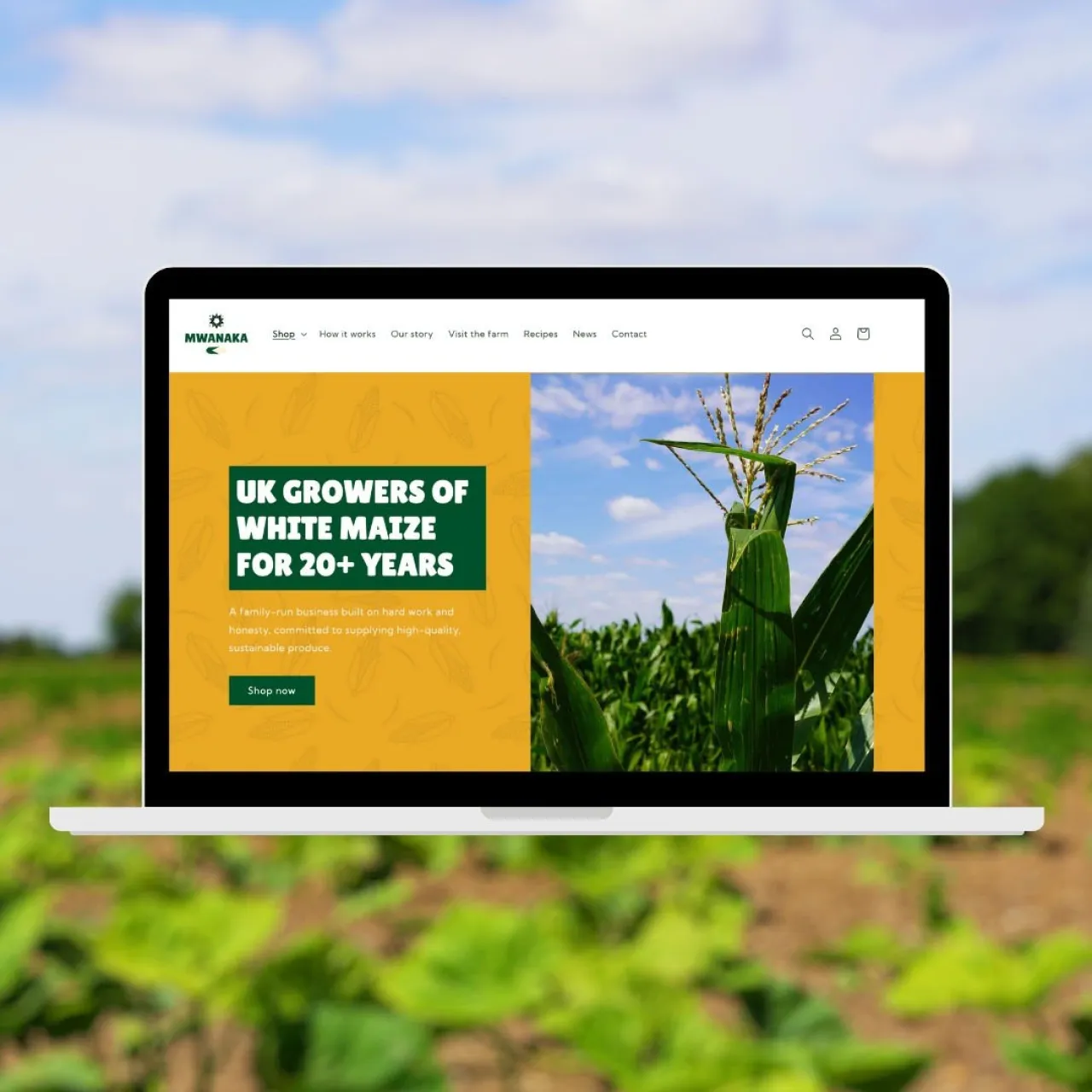 Mwanaka Fresh Farm Foods