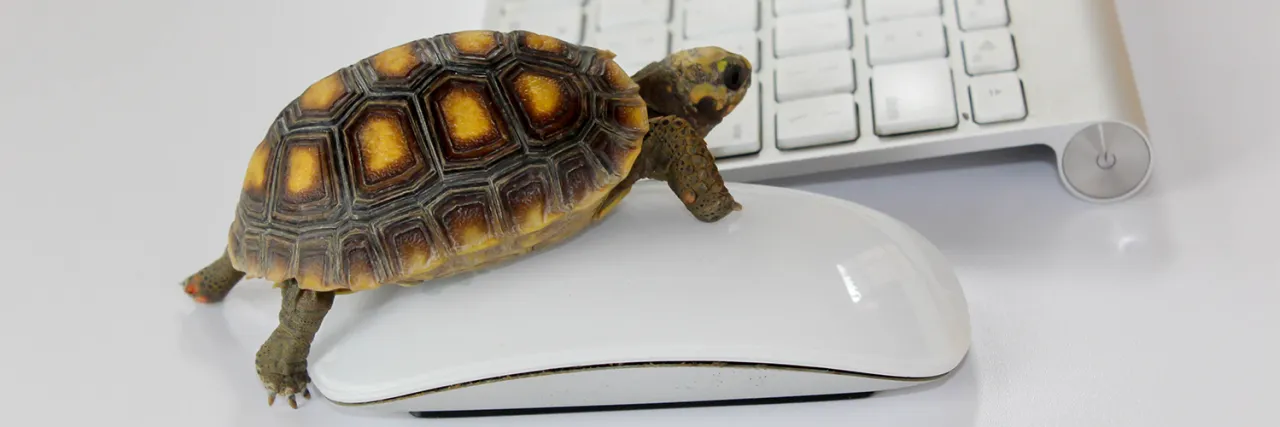 How a Slow Website Affects Your SEO