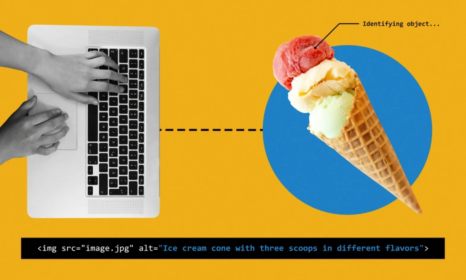 Why Is Alt Text Important For SEO?